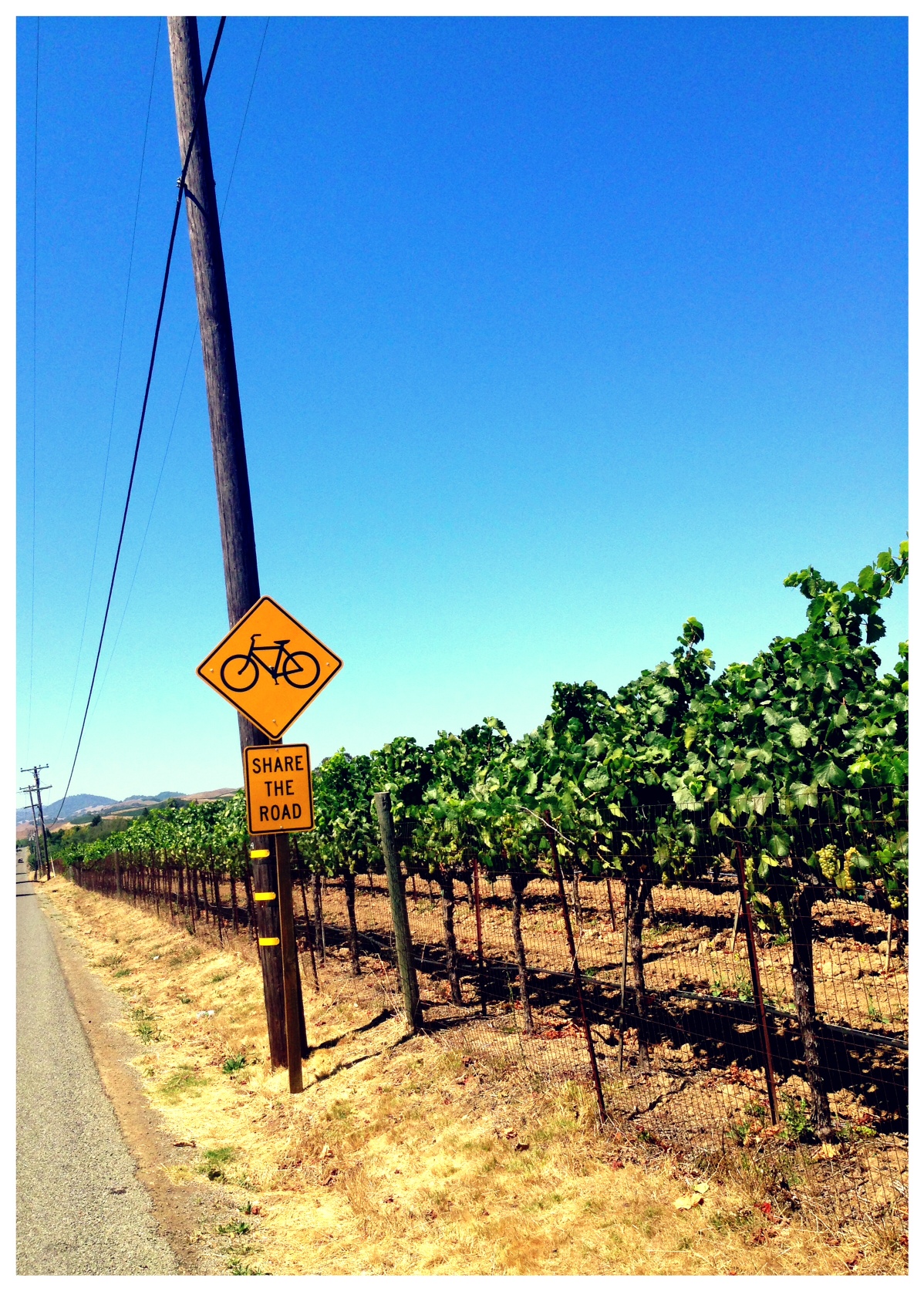 我が家の'初'夏休み