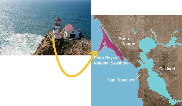 Marshall Store - Oyster Bar - Deli