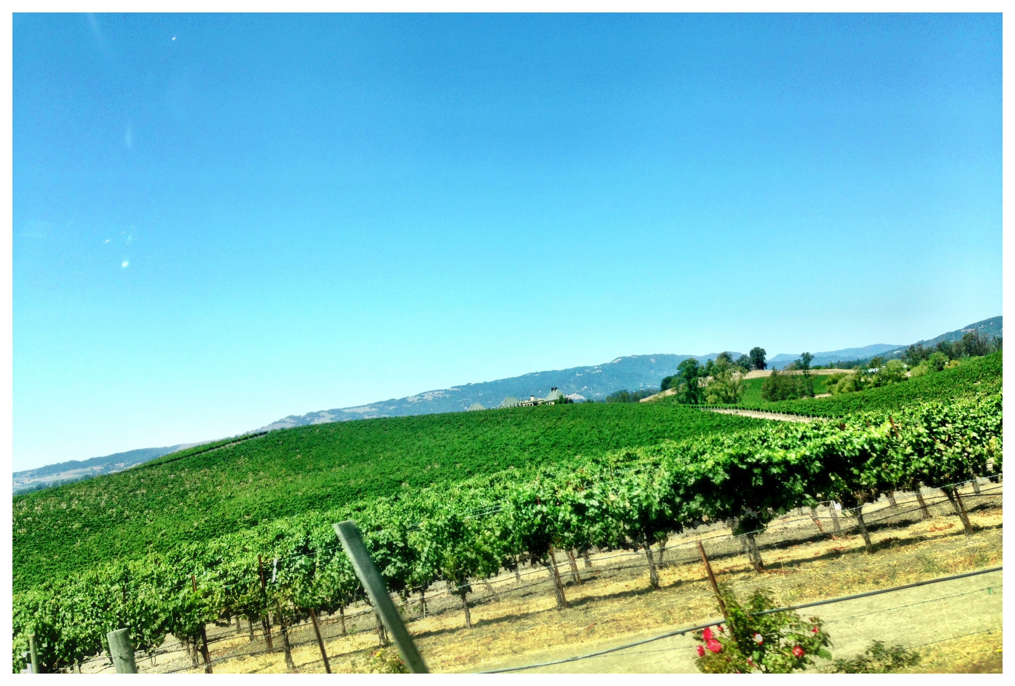 SF 日本の避暑地としてどうでしょう？