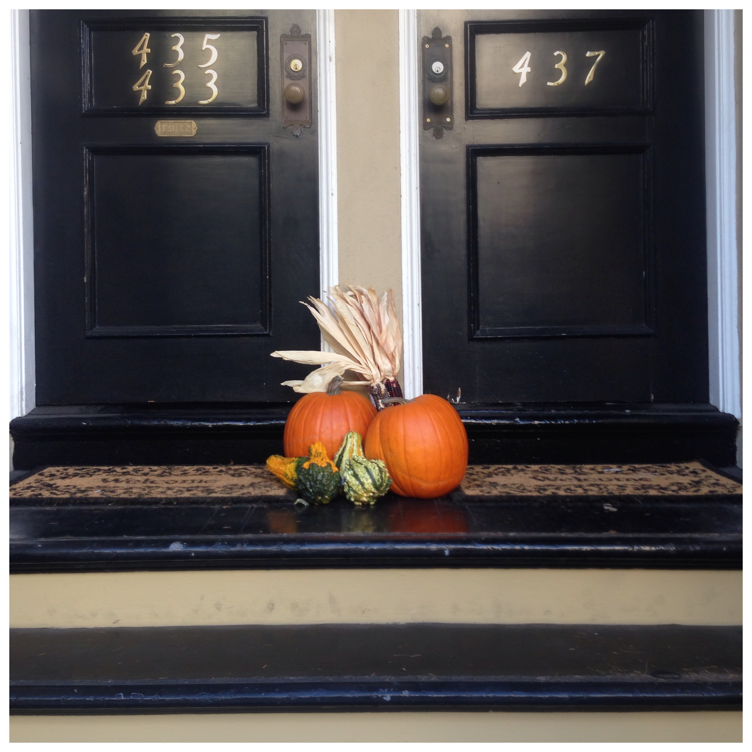 カボチャの季節