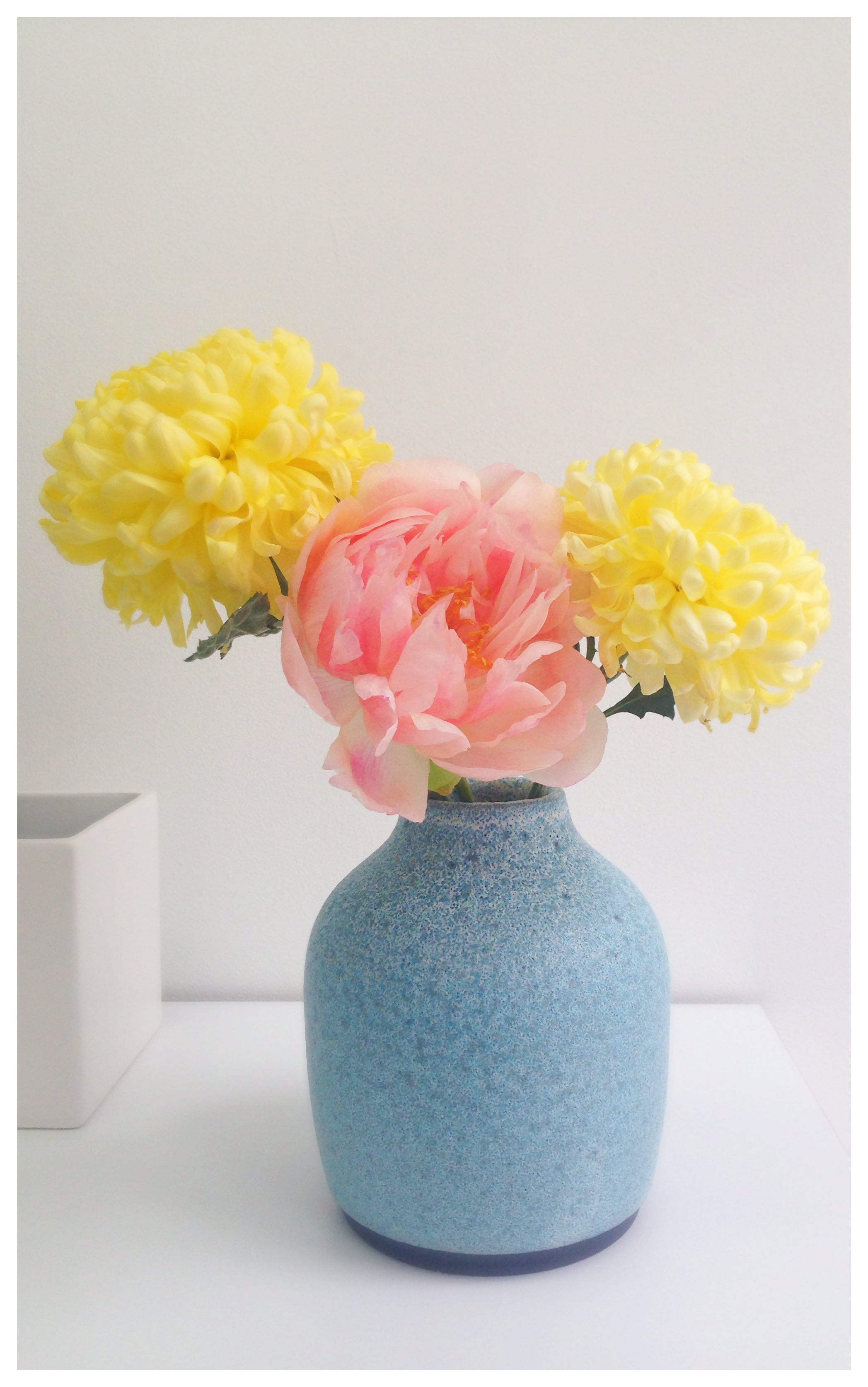 アダム・シルバーマン＋