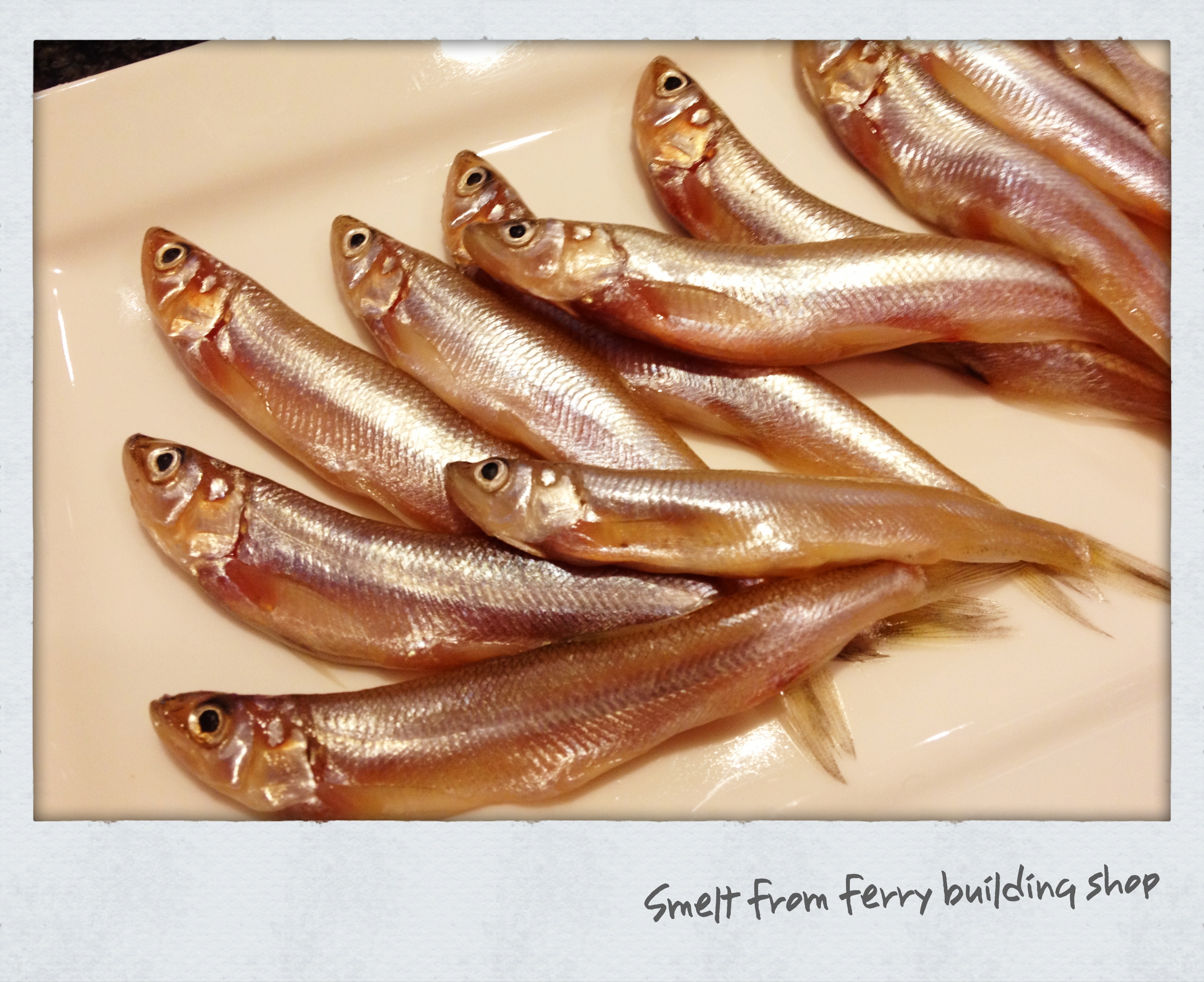 san francisco お買い物リスト