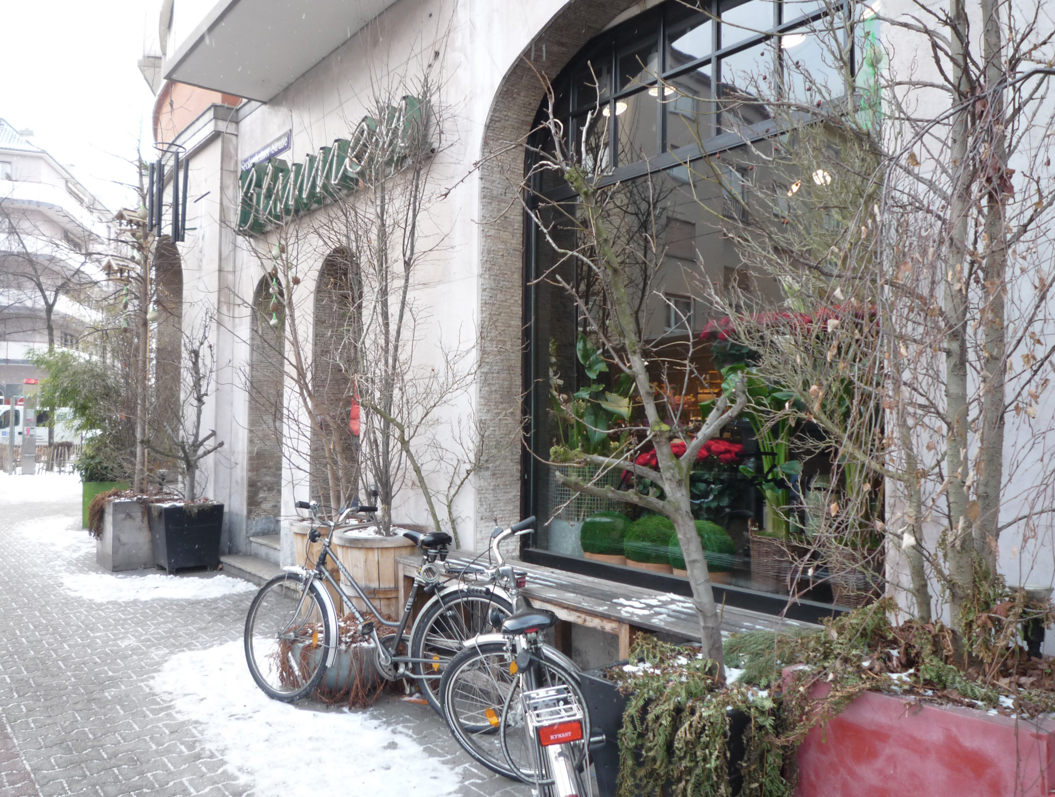 My Favorite flower shop